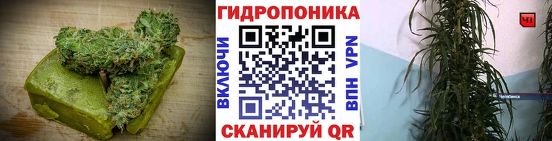 гидра ссылка  Донской  Еда ТГК марихуана 
