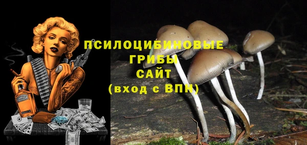 наркотики Дмитриев