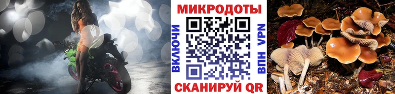 Псилоцибиновые грибы прущие грибы  Донской 